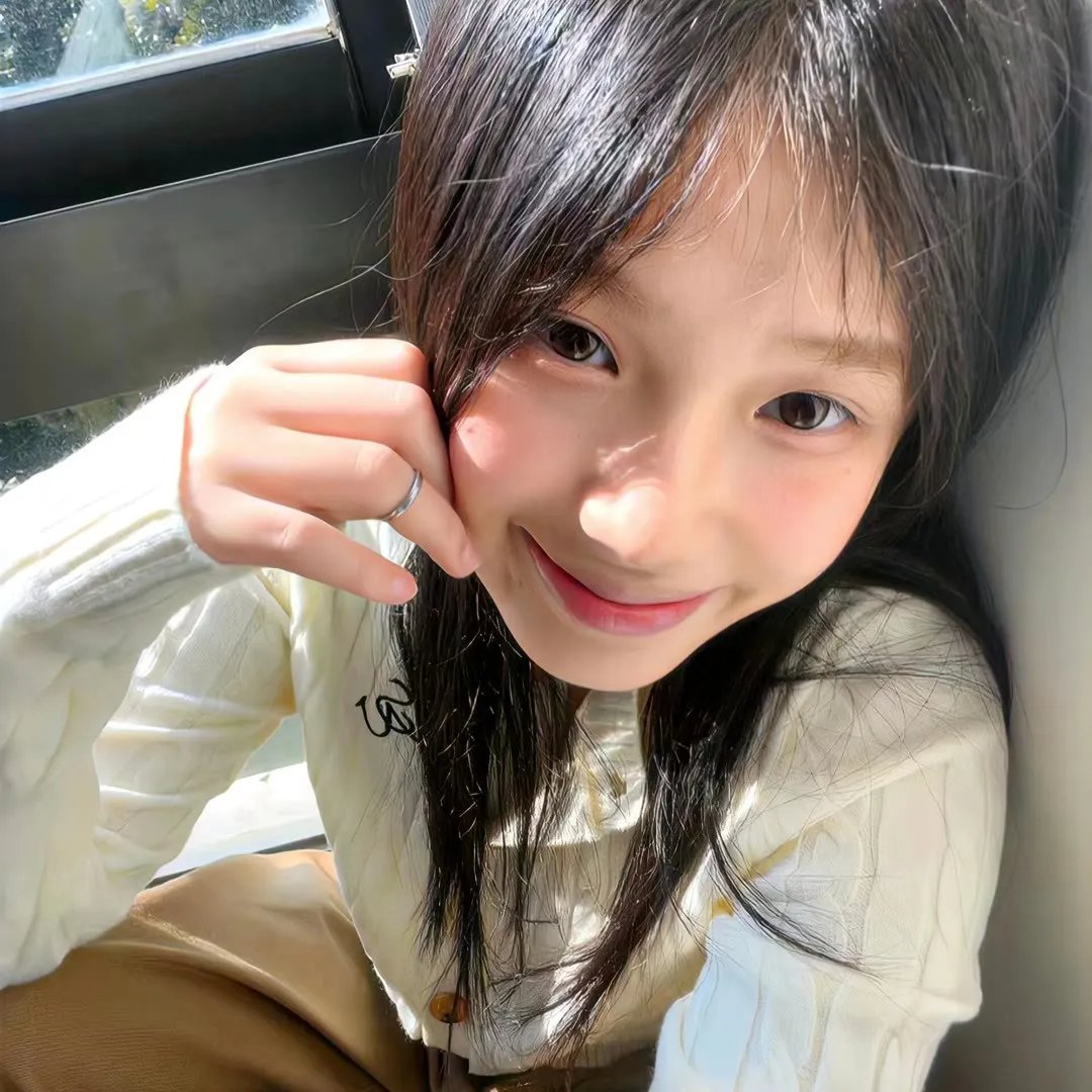 宝石宠物 国语版