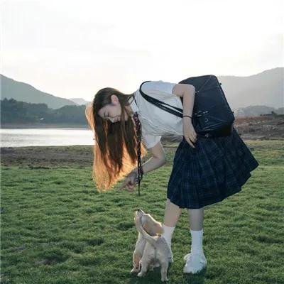 奇兵神犬
